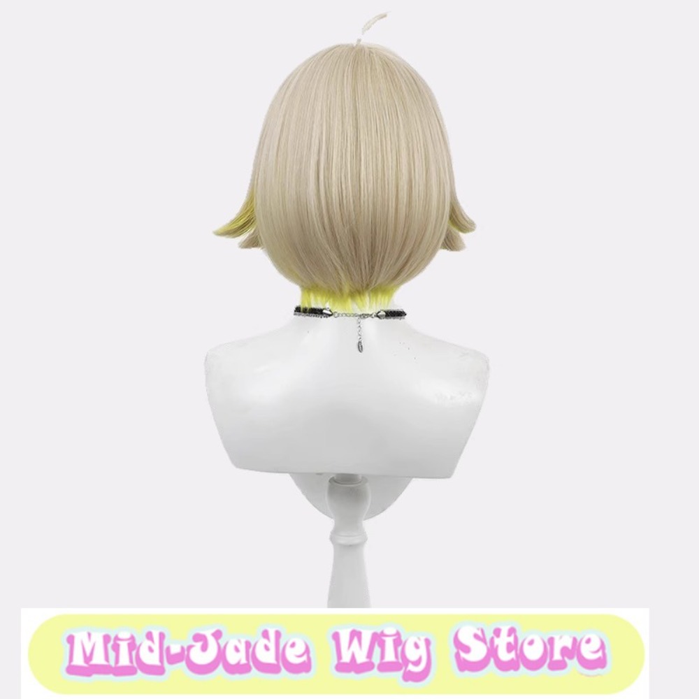 Anime Cosplay Pruik Met Highli - Gaming Accessories Korea recensie en prijs